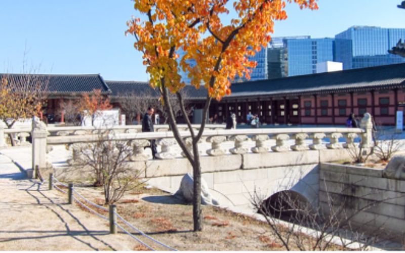 khám phá cung điện gyeongbokgung
