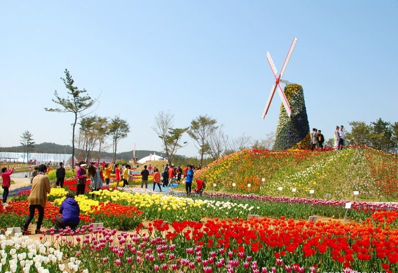 Thời Tiết Hàn Quốc Tháng 4