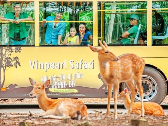 Giá Vé Vinpearl Safari Phú Quốc