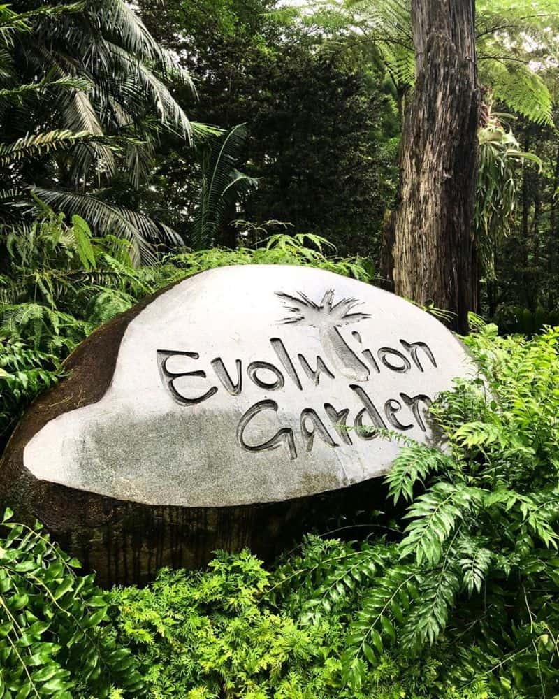 vườn bách thảo tại singapore