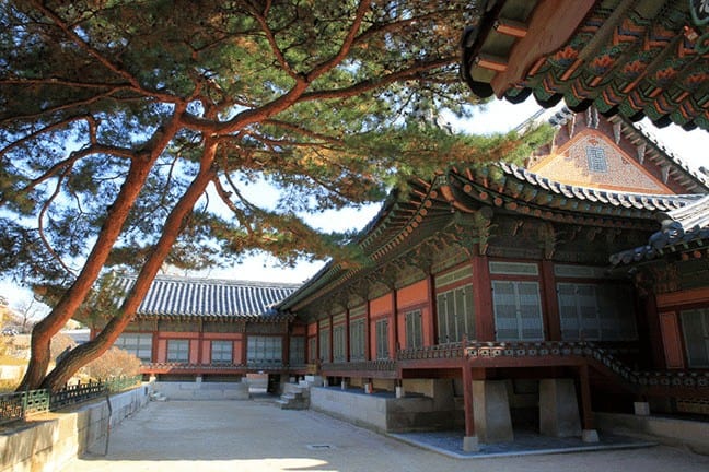 thuê hanbok ở gyeongbokgung
