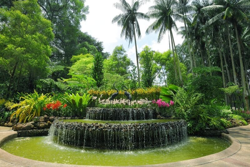vườn bách thảo singapore