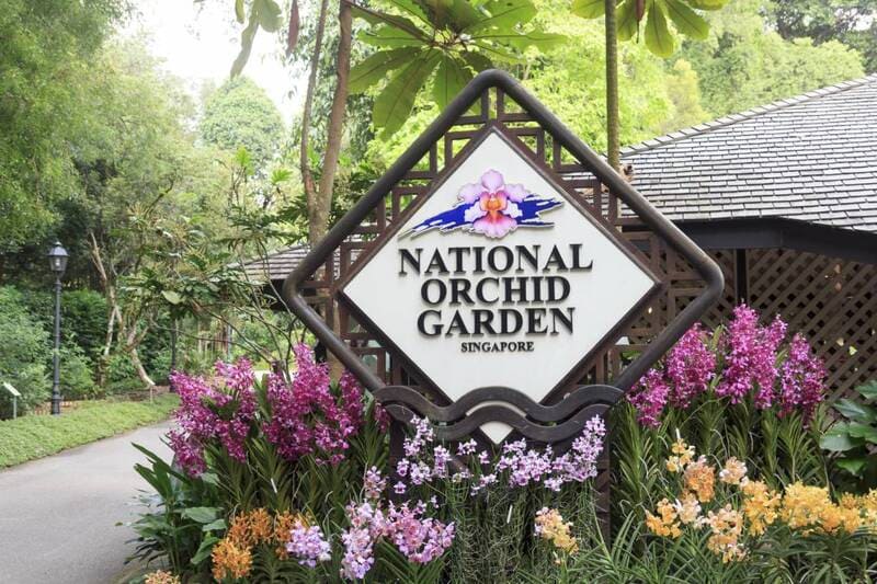 vườn bách thảo singapore