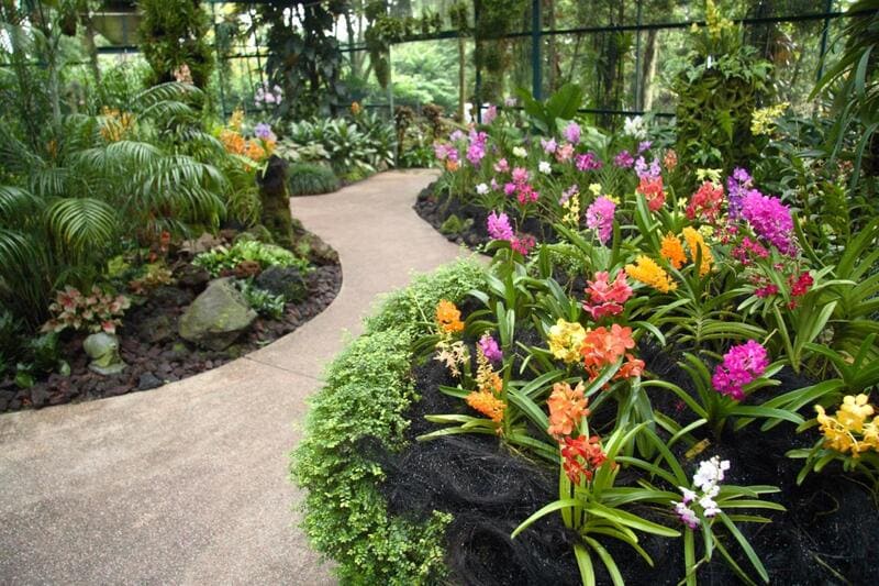 vườn bách thảo tại singapore