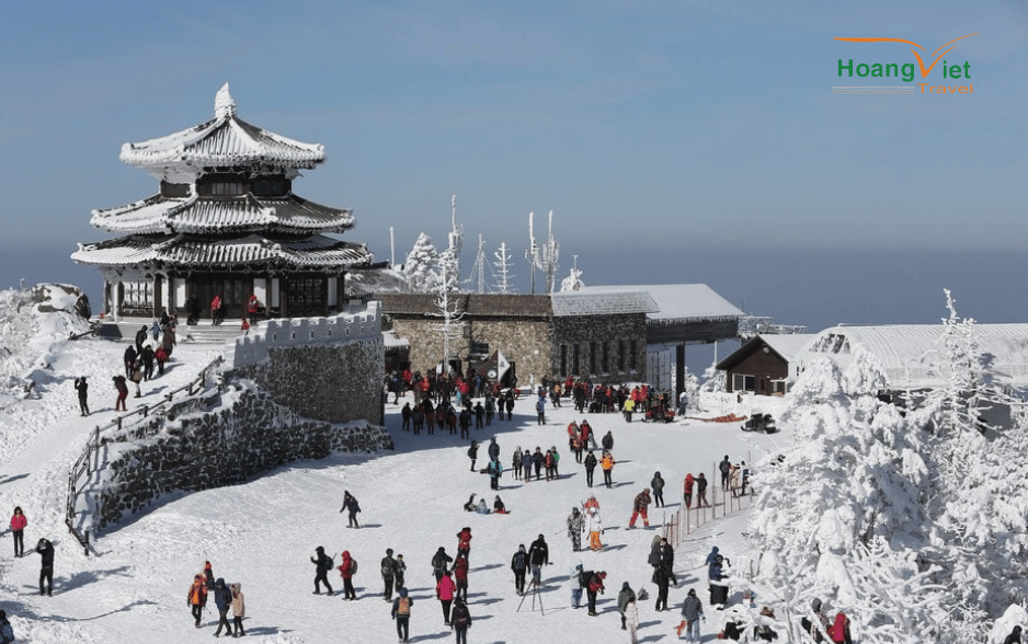 Tour du lịch Hàn Quốc mùa đông