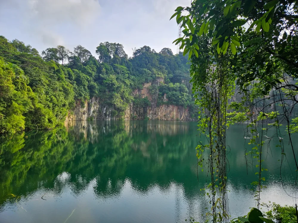 bukit timah