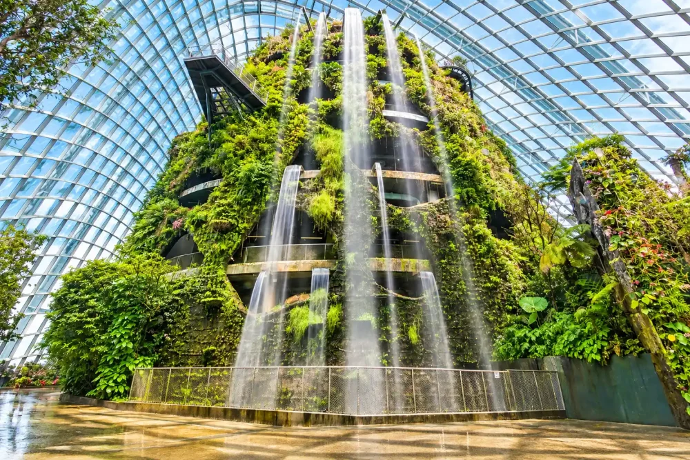 gardens by the bay