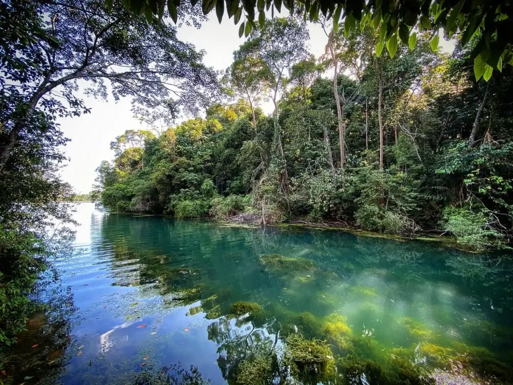 macritchie reservoir