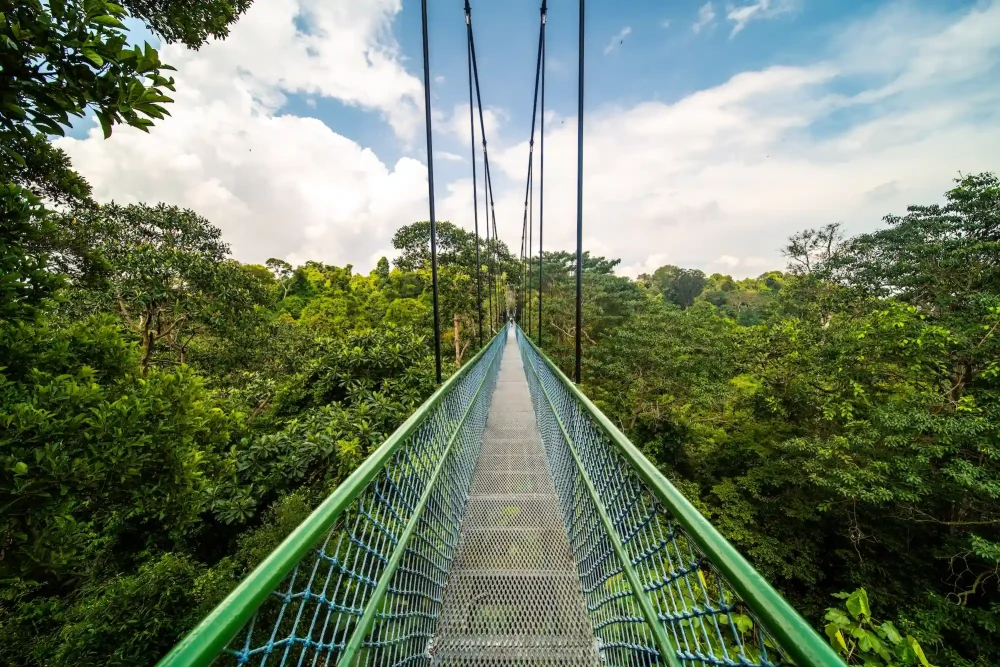 macritchie reservoir