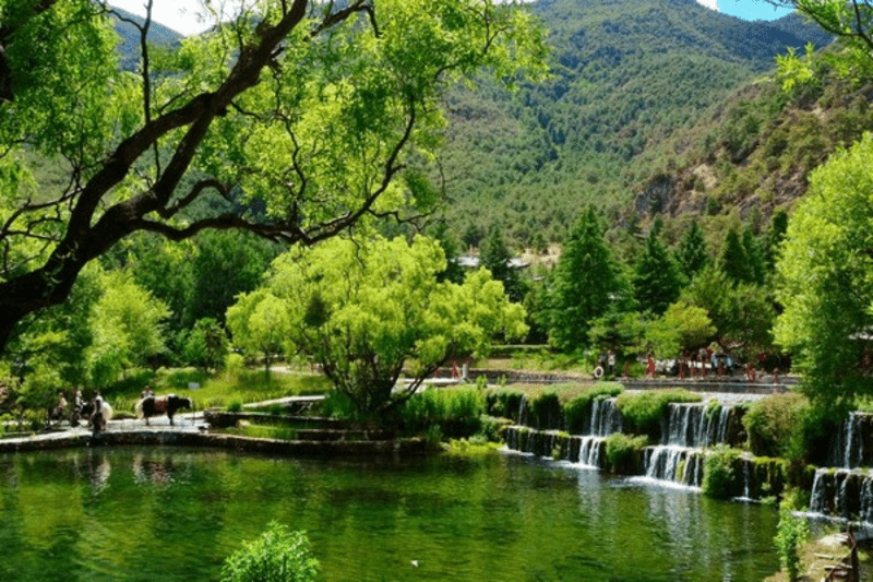 tour côn minh đại lý lệ giang shangrila