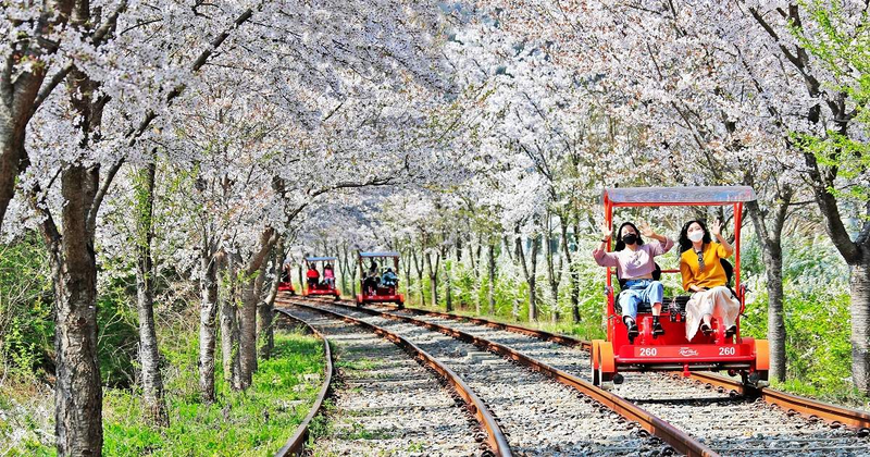 Tour du lịch Hàn Quốc 7 ngày 6 đêm