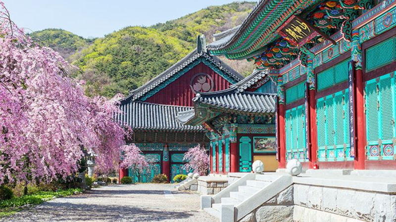 Tour du lịch Hàn Quốc từ Đà Nẵng