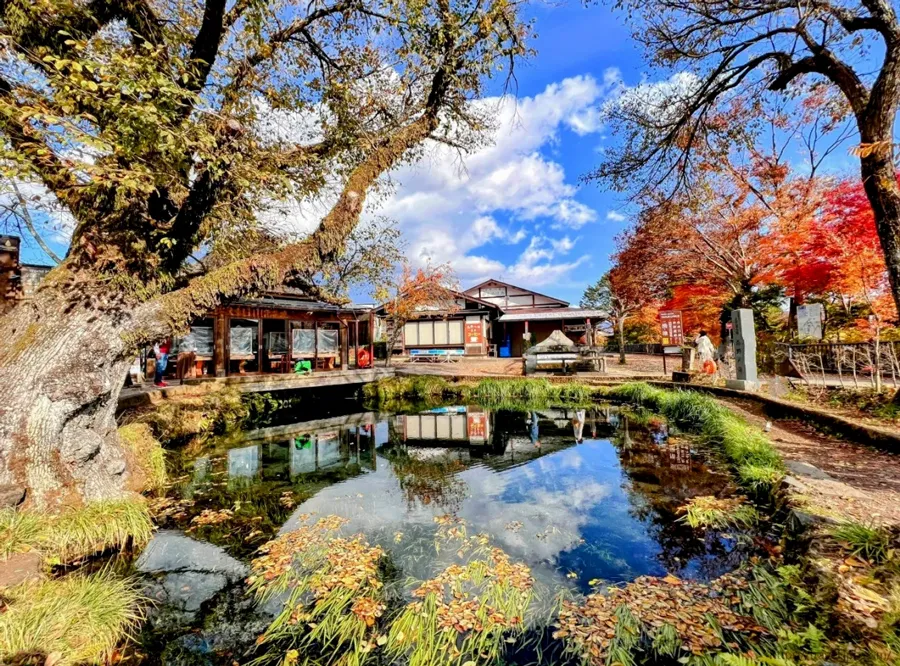 Đón Năm Mới Tại Nhật Bản | Tokyo – Fuji – Kyoto – Osaka | 6N5D Bay Vietjet Air