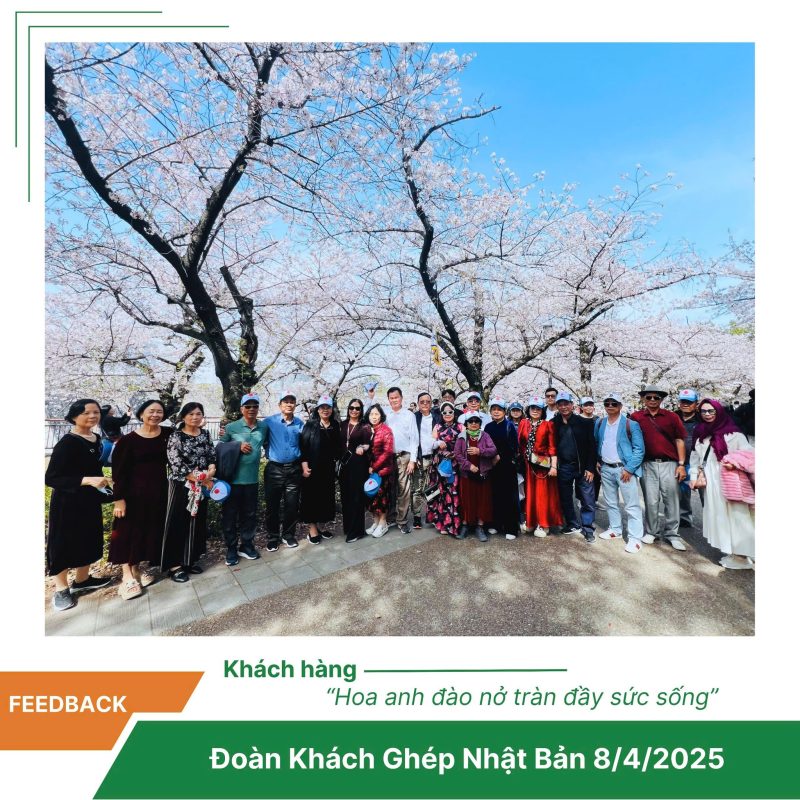 tour du lịch nhật bản