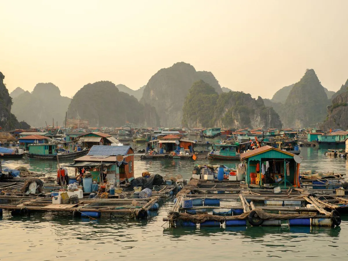 tour cát bà vịnh lan hạ 2 ngày 1 đêm