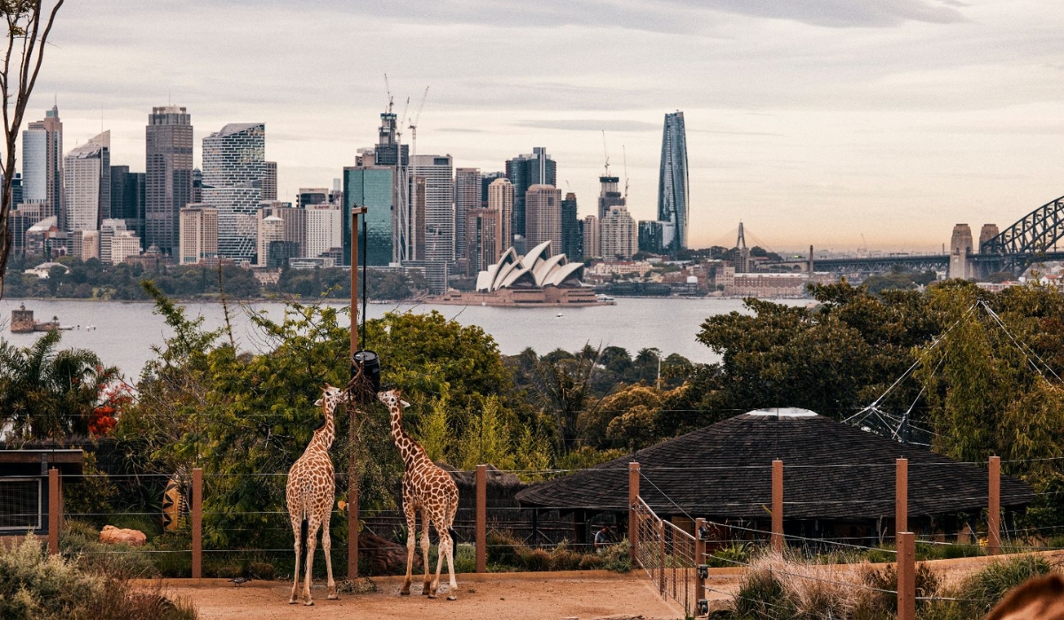 Sydney Zoo Sydney Zoo