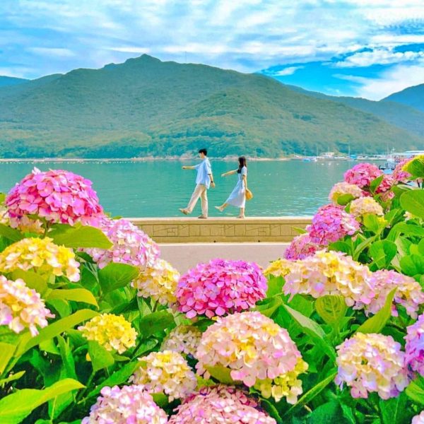 Tham quan cung điện Gyeongbokgung tháng 8