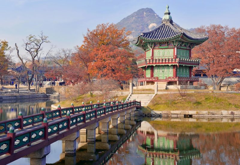 Tour Hàn Quốc 6 ngày 5 đêm khám phá đảo Nami