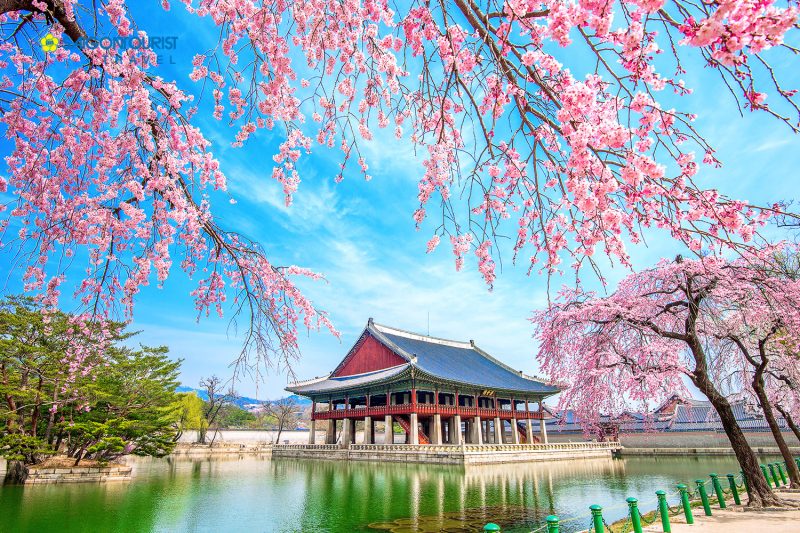 Du lịch Hàn Quốc 7 ngày 6 đêm tại cung Gyeongbokgung