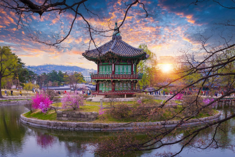 Tour Hàn Quốc 6 ngày 5 đêm mùa hoa anh đào