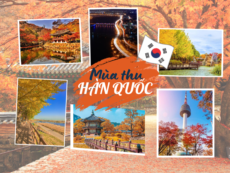 Tour Hàn Quốc 6 ngày 5 đêm giá rẻ