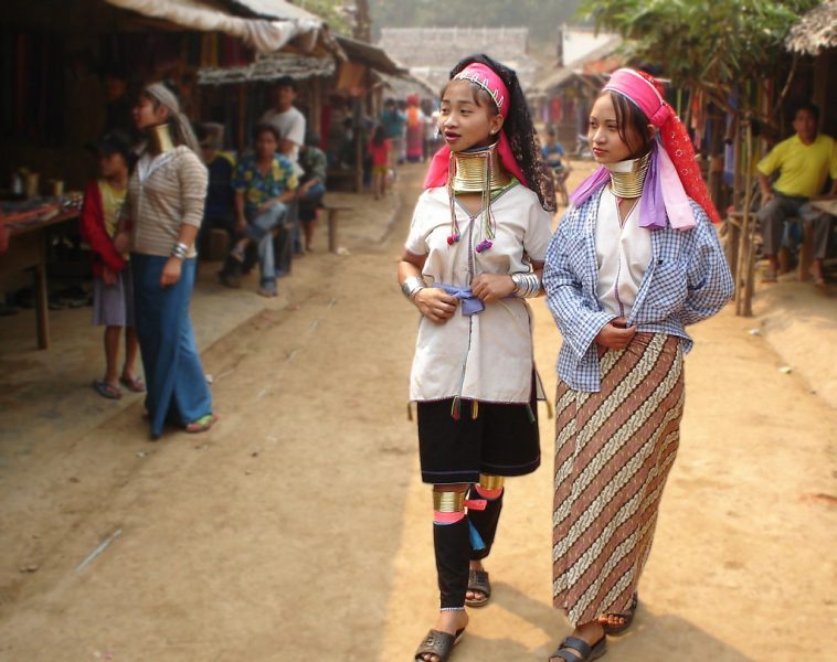 giá vé làng cổ dài