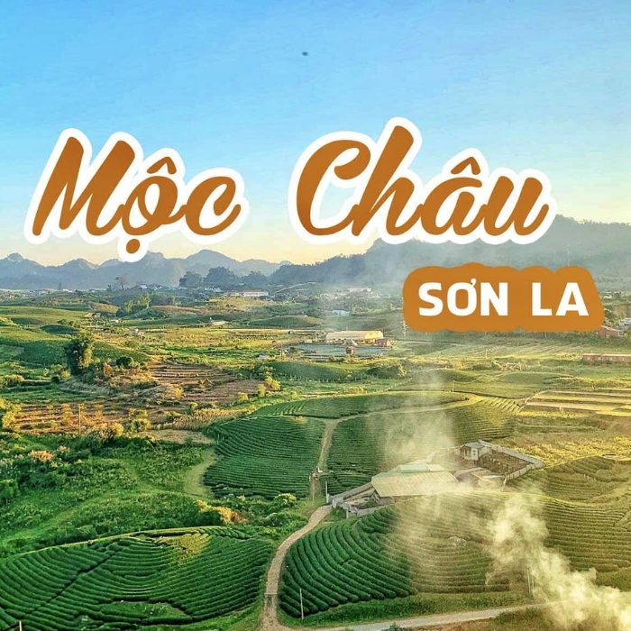 Du khách có thể du lịch Mộc Châu quanh năm