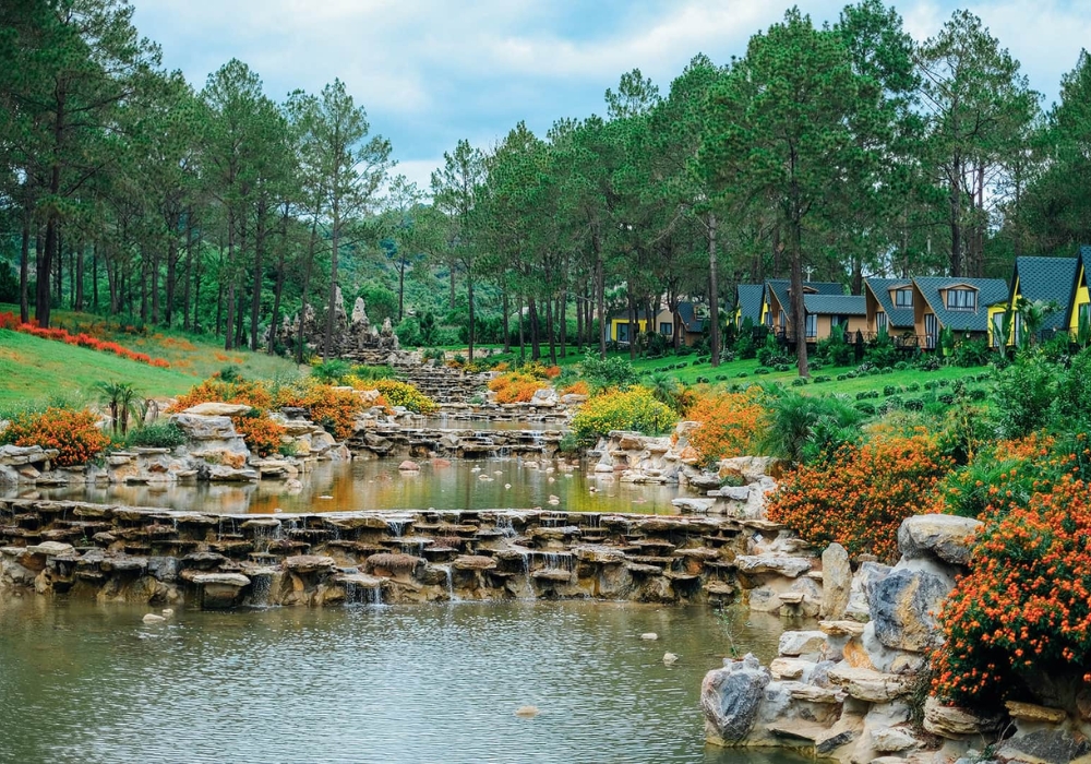 Rừng thông Bản Áng