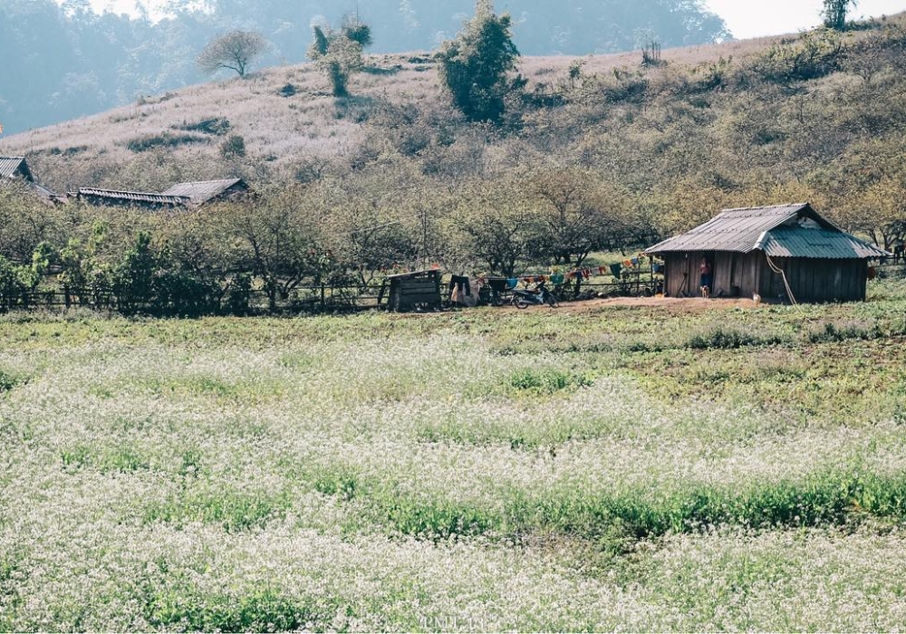 Bản Pa Phách