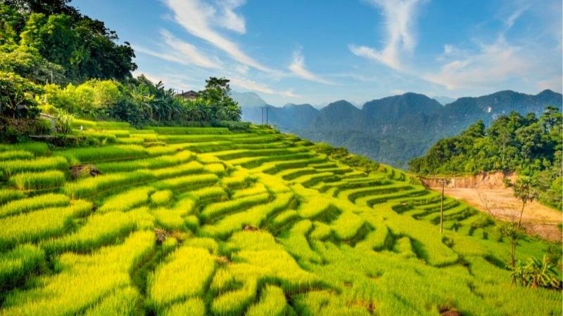 Đến Pù Luông, du khách sẽ được tận hưởng, hoà mình vào thiên nhiên
