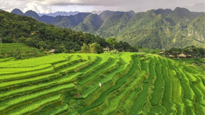 Thời điểm thích hợp để du lịch Pù Luông là từ khoảng tháng 4 đến tháng 6