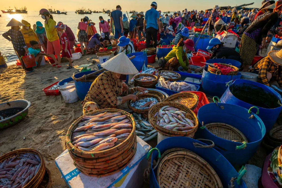 tour thanh hóa 3 ngày 2 đêm