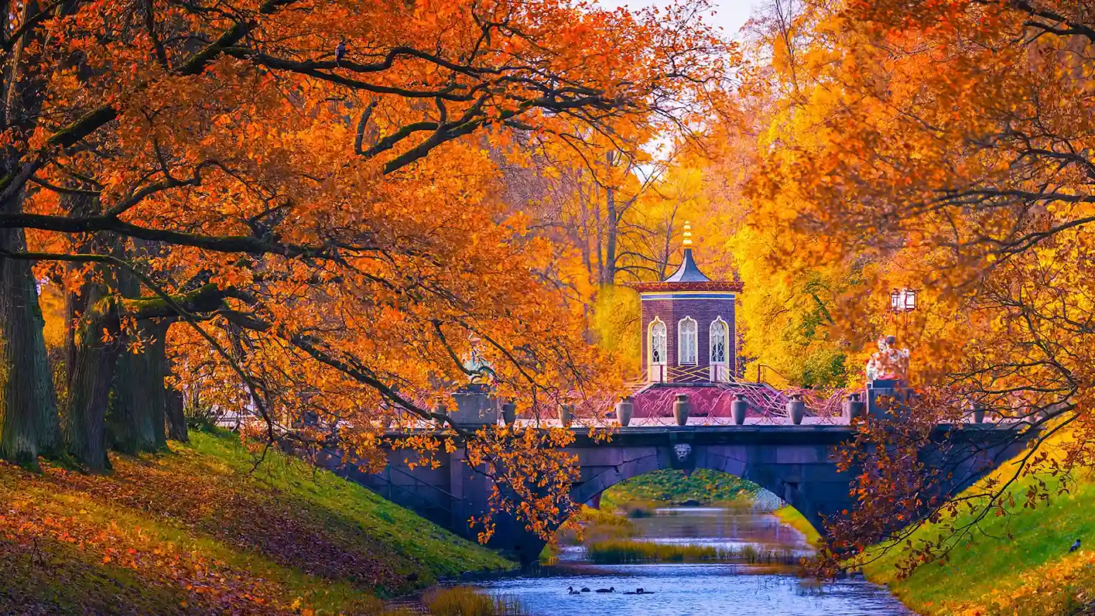 saint petersburg nga