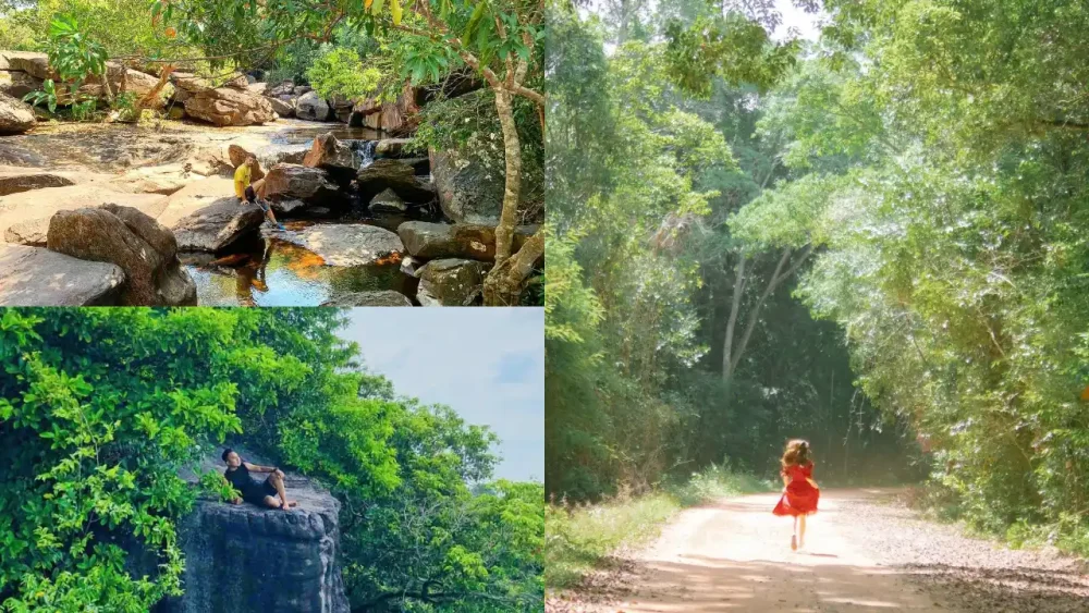 bắc đảo phú quốc
