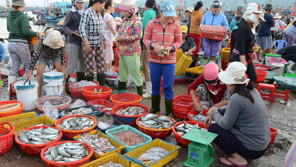 bãi thơm phú quốc