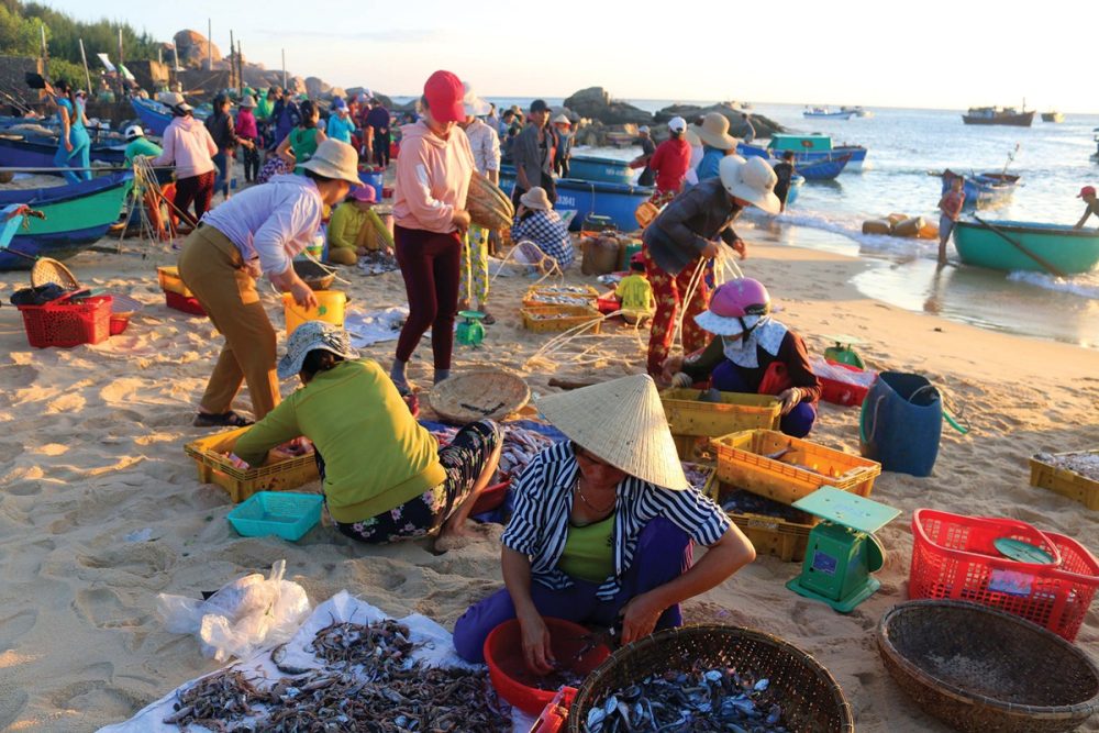 làng chài hàm ninh