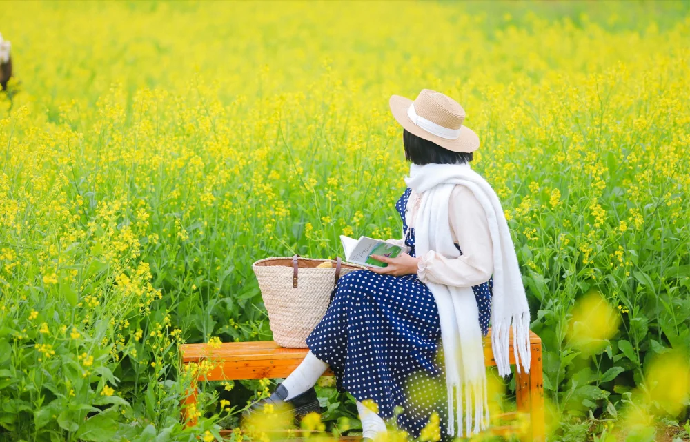 tháng 12 nên đi du lịch ở đâu