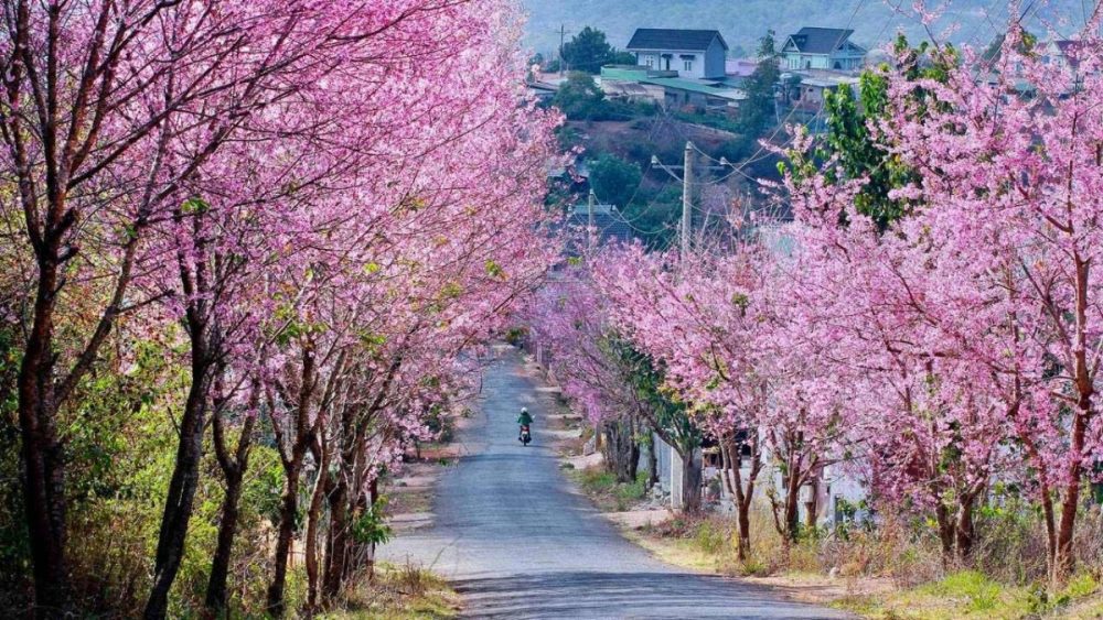 tháng 2 nên đi du lịch ở đâu