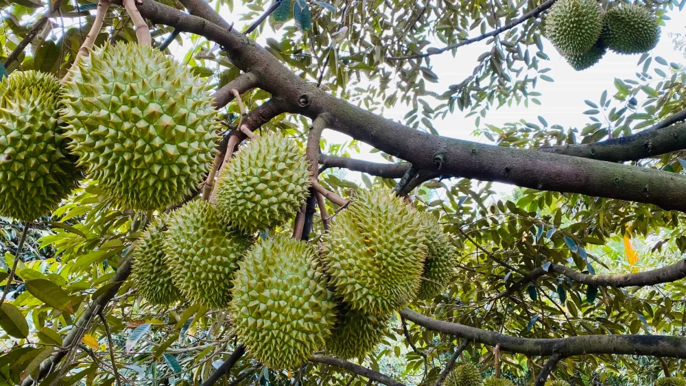 tháng 5 nên đi du lịch ở đâu