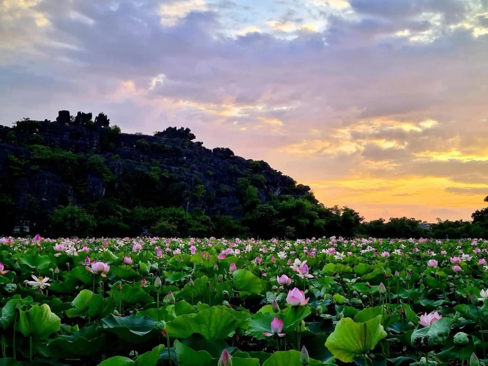 tháng 7 nên đi du lịch ở đâu việt nam
