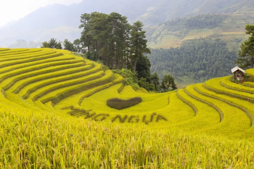 tháng 9 nên đi du lịch ở đâu miền bắc