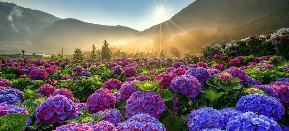 tháng 9 nên đi du lịch ở đâu
