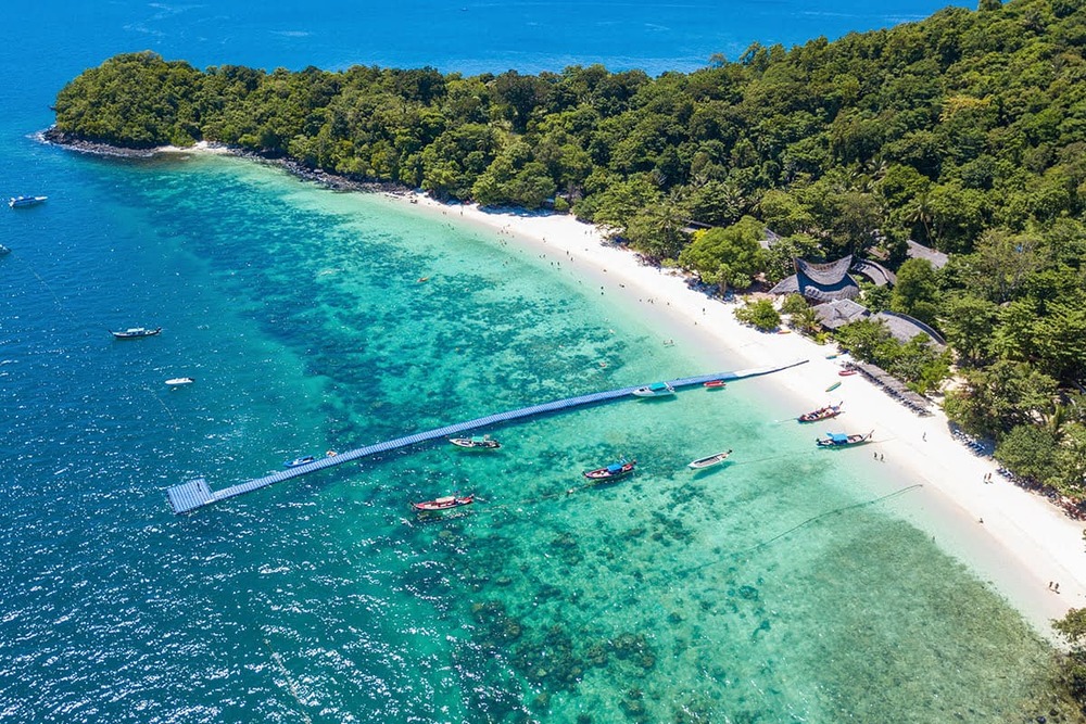 tour pattaya 1 ngày