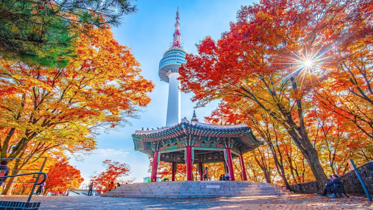 Tour Hàn Quốc Seoul – Nami – Everland | 5 Ngày – 4 Đêm Bay Vietnam Airlines