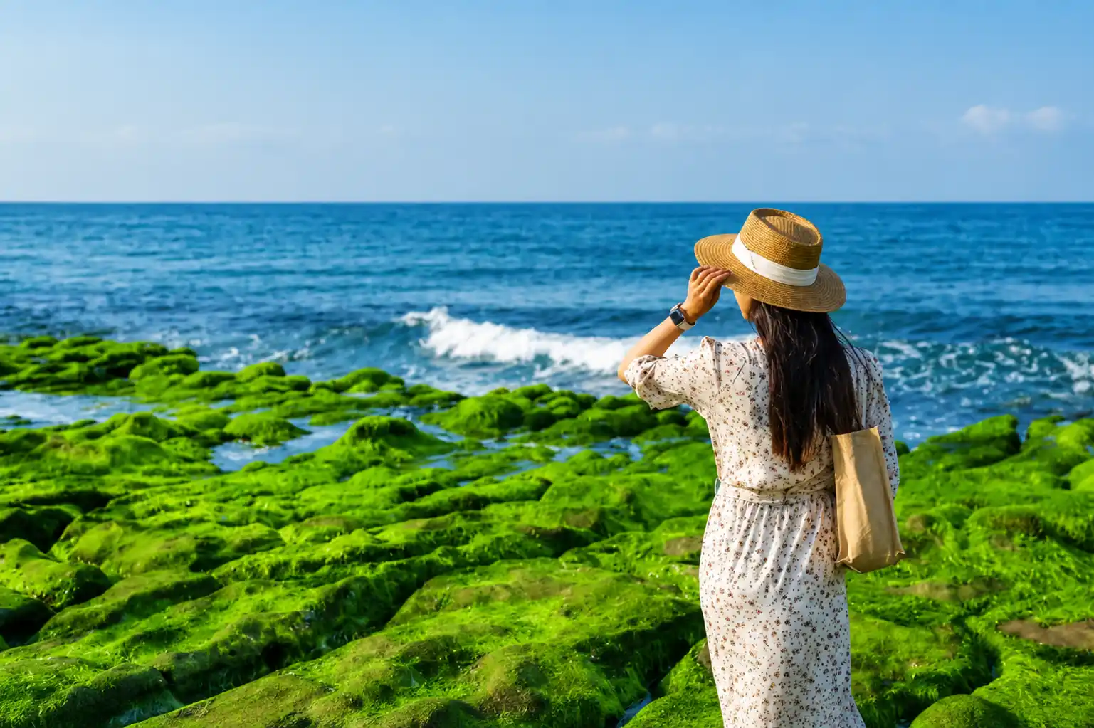 đài loan mùa xuân
